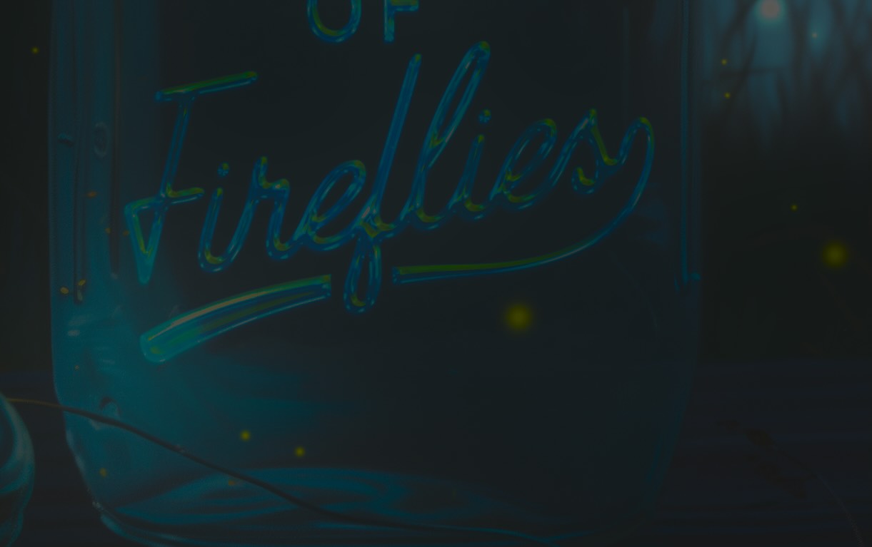 Book Cover for Under The Light of Fireflies